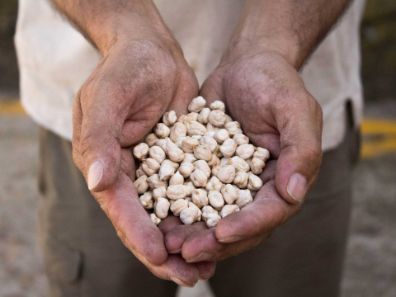 GARBANZOS DE DAGANZO JUAN FÉLIX 