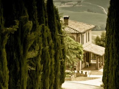 VINOS JEROMÍN