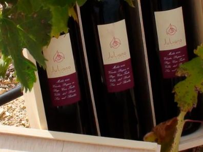 VIÑEDOS MARTÍN DE LA ROSA